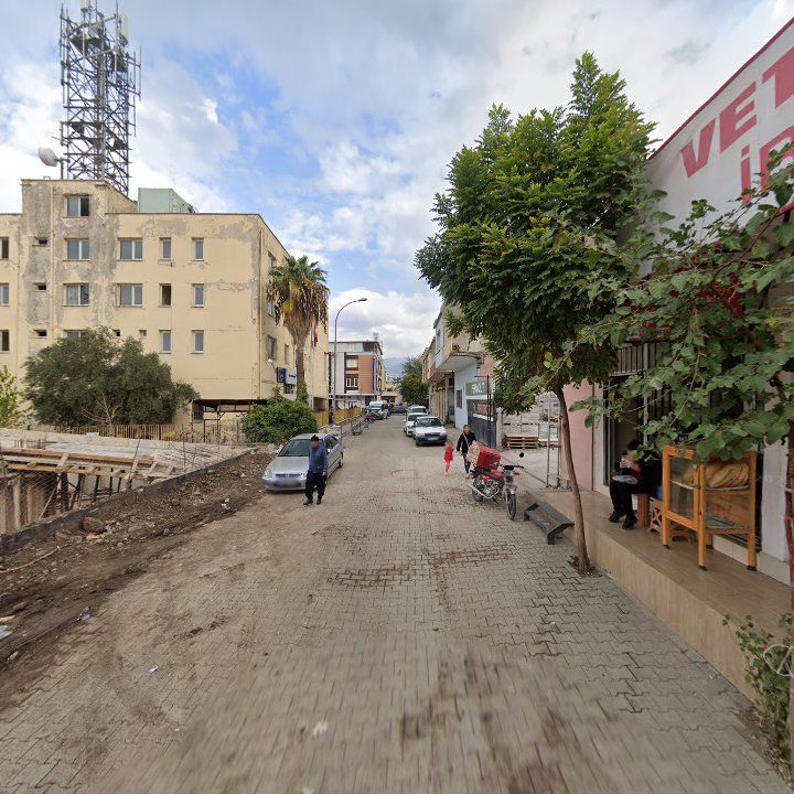 Fotoğraf 7