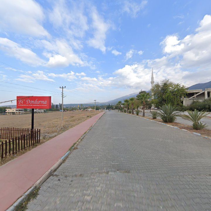 Fotoğraf 9