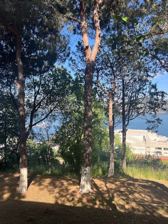 Fotoğraf 38