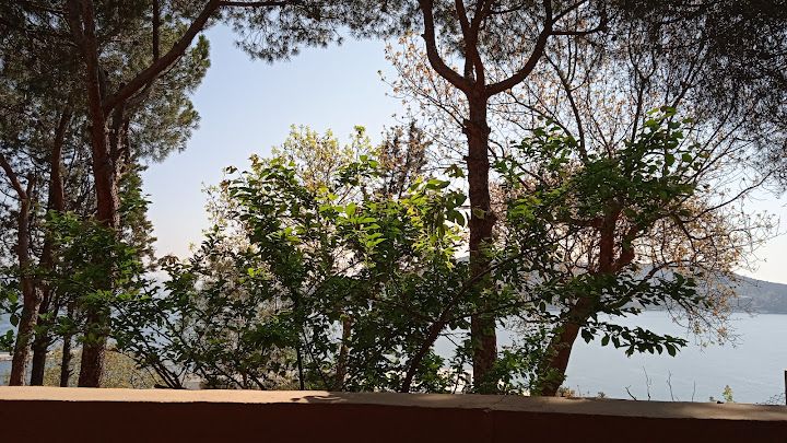 Fotoğraf 56