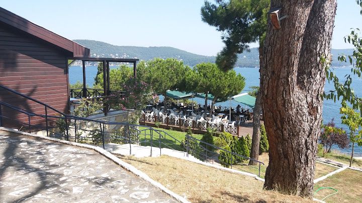 Fotoğraf 65