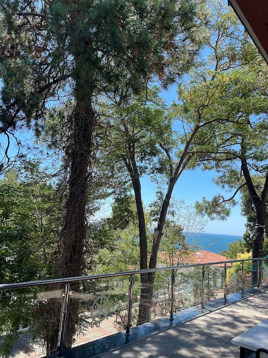 Fotoğraf 59