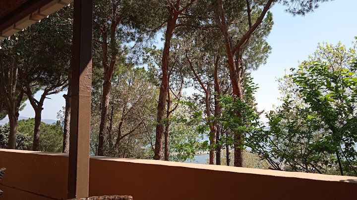 Fotoğraf 55