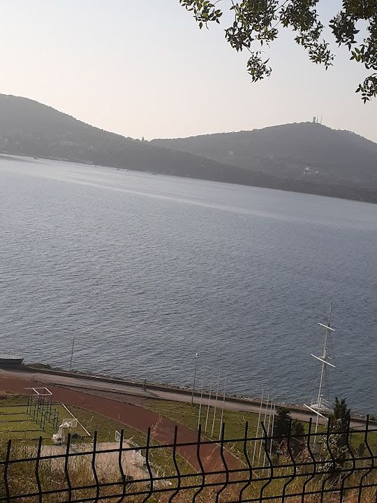 Fotoğraf 17