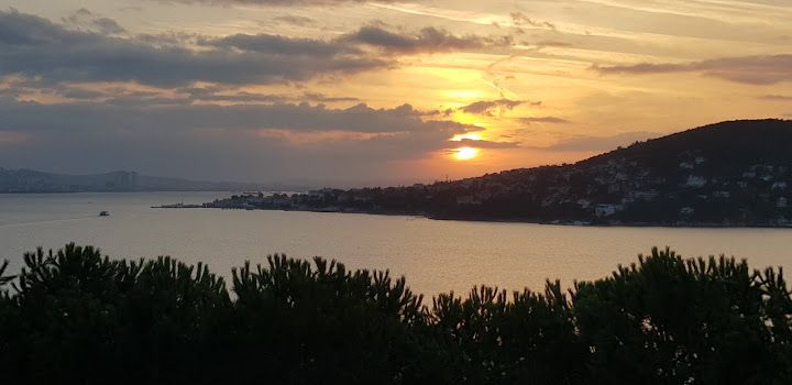 Fotoğraf 54