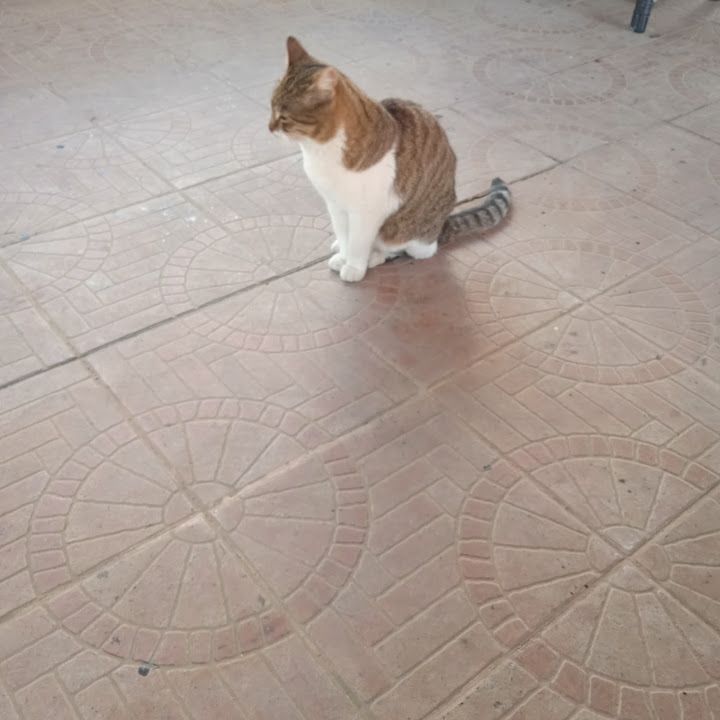 Fotoğraf 57