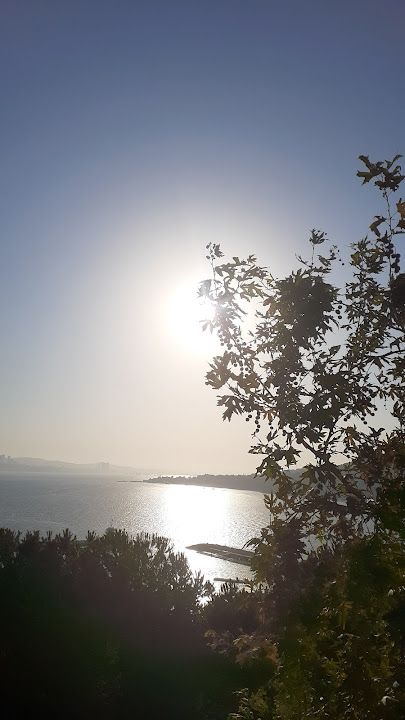 Fotoğraf 19