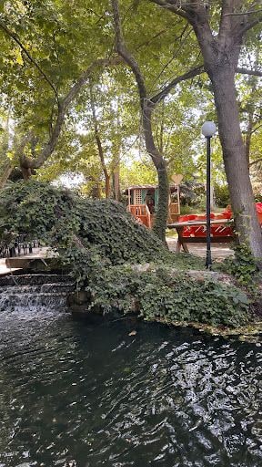 Fotoğraf 11