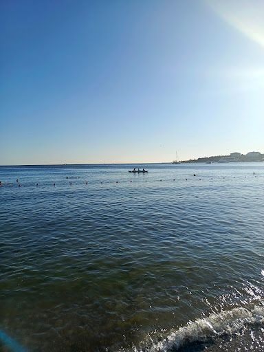 Fotoğraf 21
