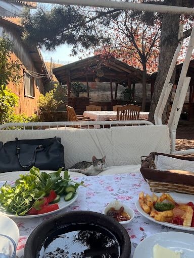 Yorum fotoğrafı 3