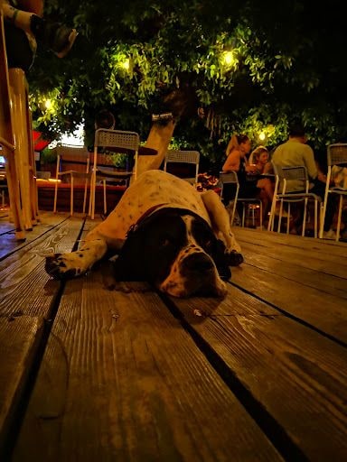 Yorum fotoğrafı 2