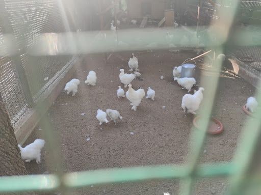 Yorum fotoğrafı 4