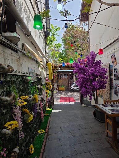 Yorum fotoğrafı 5