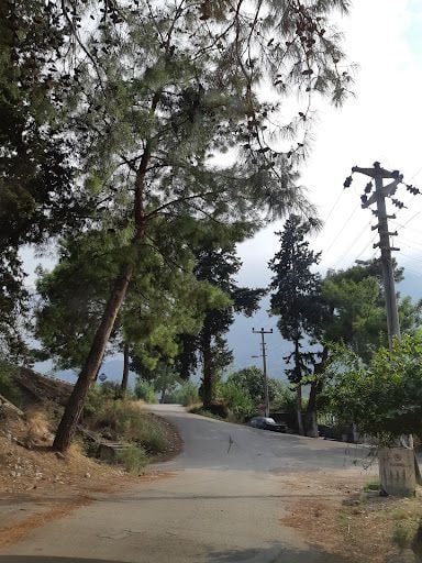 Yorum fotoğrafı 10