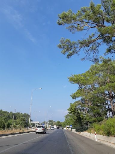 Yorum fotoğrafı 9