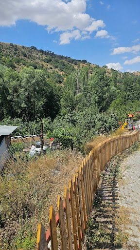 Yorum fotoğrafı 10