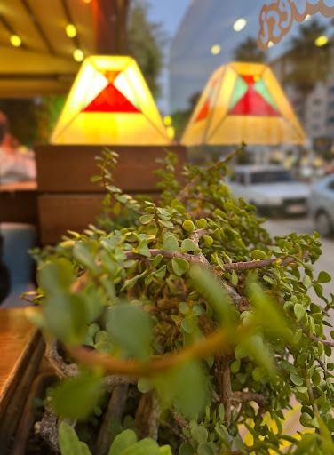 Fotoğraf 40