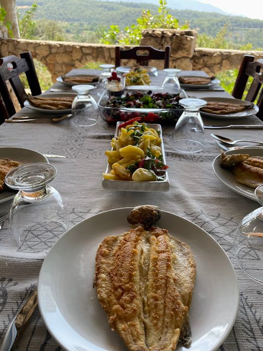 Fotoğraf 17
