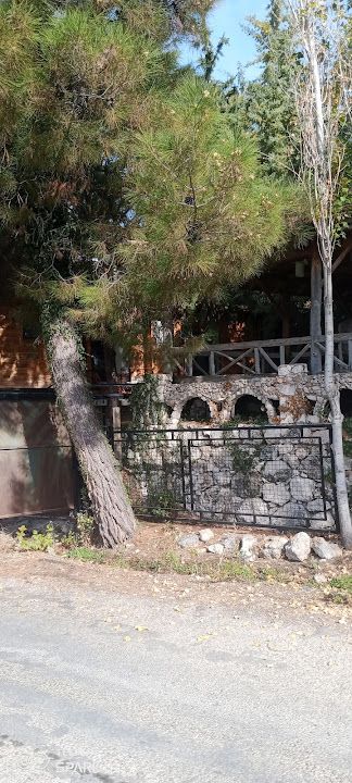 Yorum fotoğrafı 3