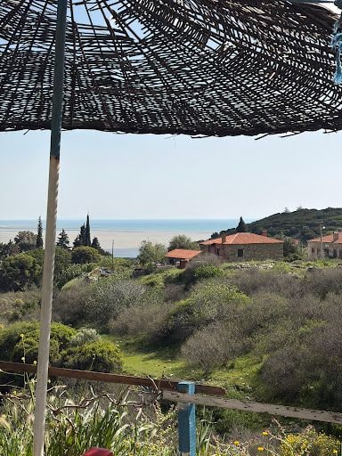 Fotoğraf 18