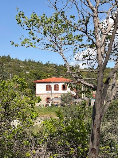 Fotoğraf 20