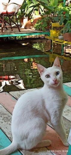 Fotoğraf 17