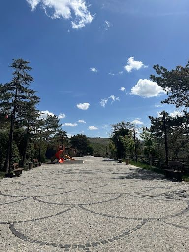 Fotoğraf 16