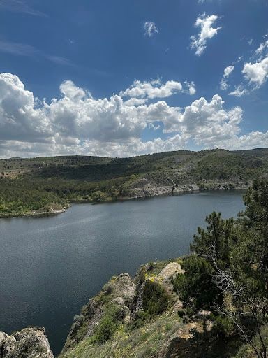 Fotoğraf 22