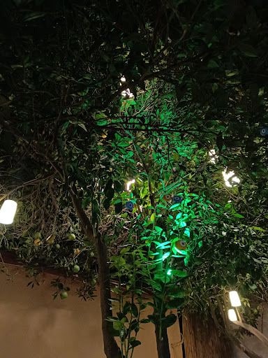 Fotoğraf 26