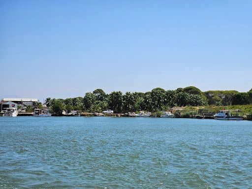 Yorum fotoğrafı 6