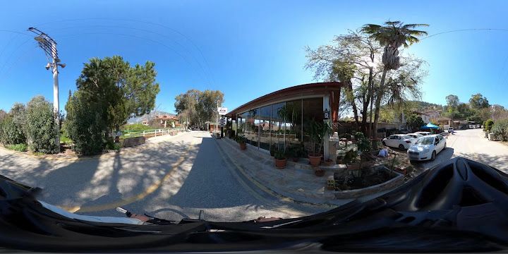 Fotoğraf 10