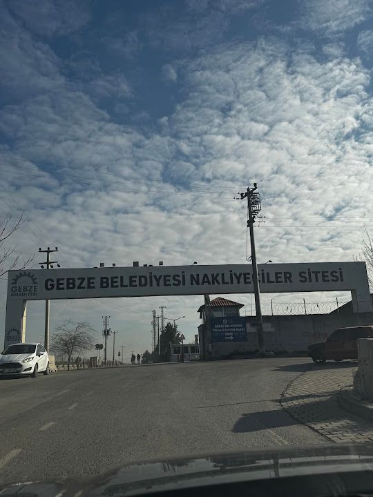 Fotoğraf 61