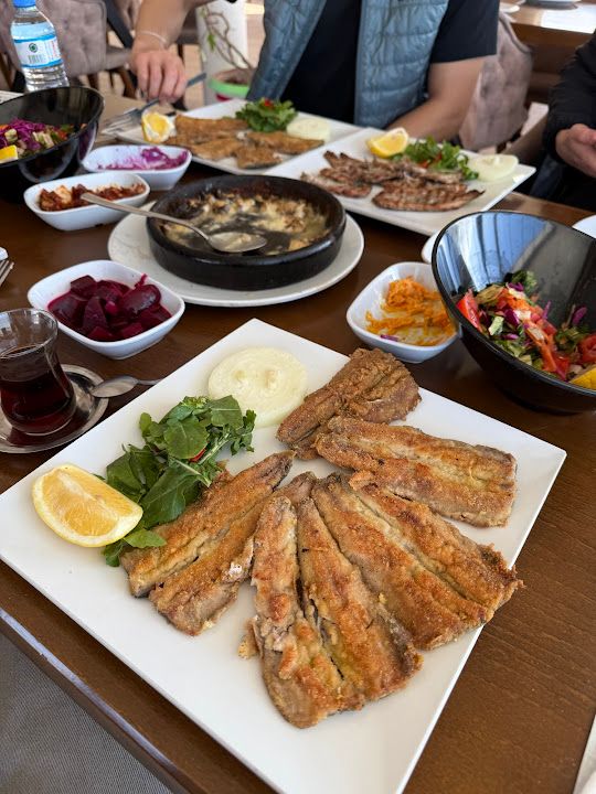 Fotoğraf 9