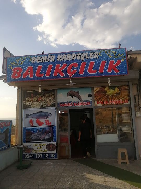 Demir Kardeşler Balıkçılık
