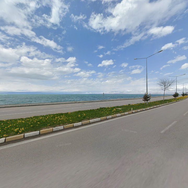 Fotoğraf 11