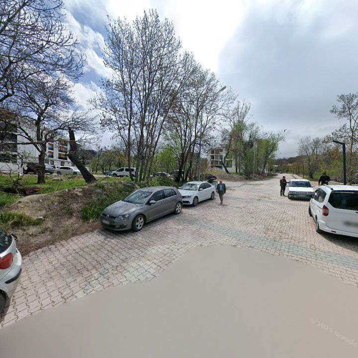 Fotoğraf 9