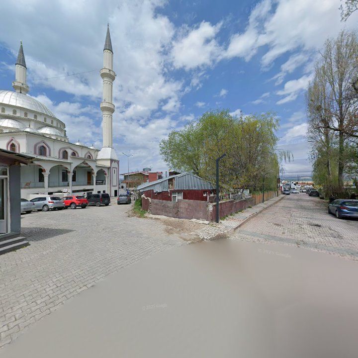 Fotoğraf 11