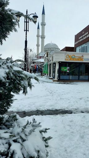 Fotoğraf 6