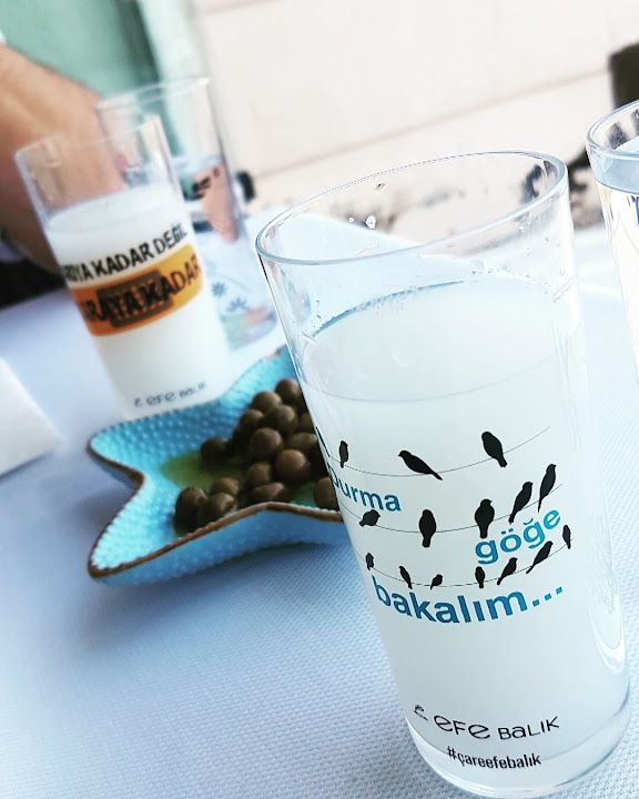Fotoğraf 31