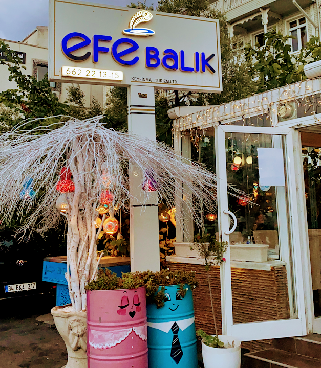 Fotoğraf 41