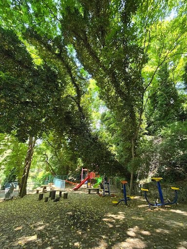 Fotoğraf 15