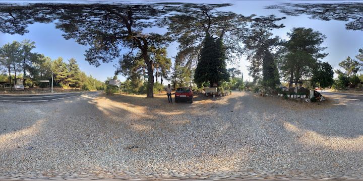 Fotoğraf 30