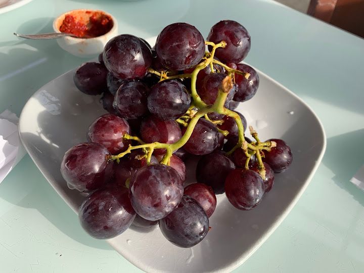 Fotoğraf 17