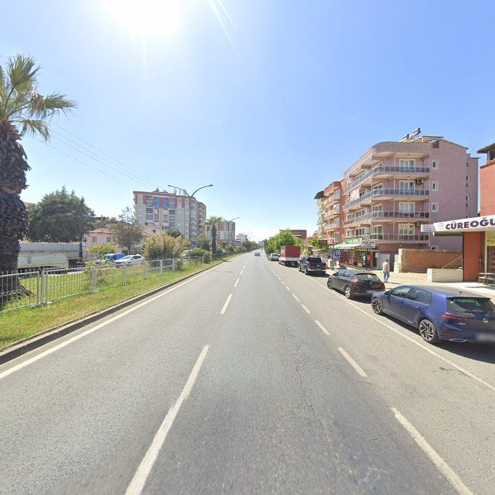 Fotoğraf 12