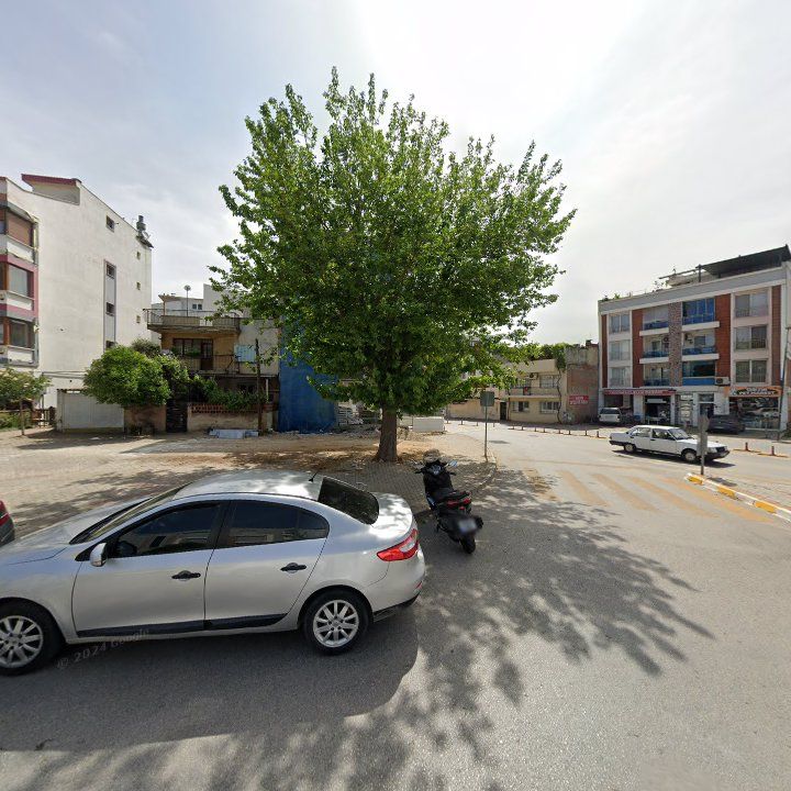 Fotoğraf 6