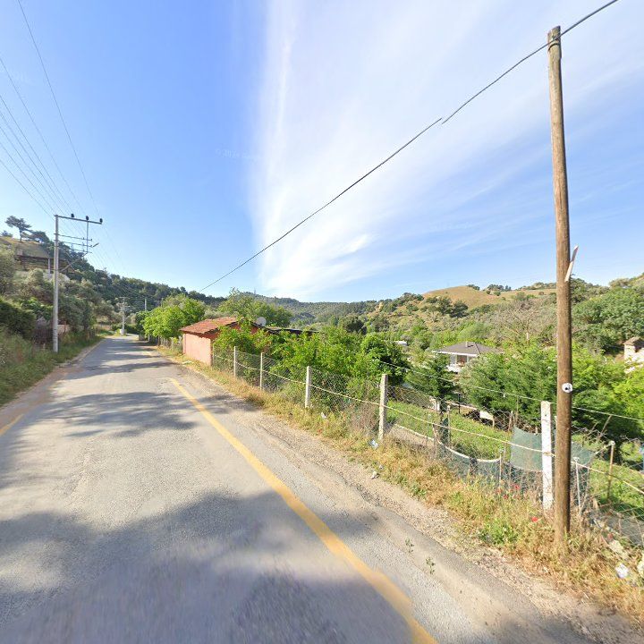 Fotoğraf 9