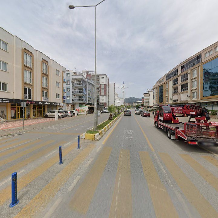 Fotoğraf 11