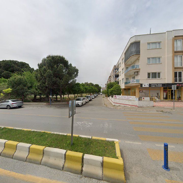 Fotoğraf 10