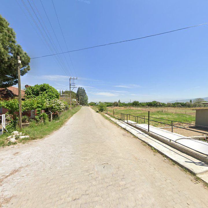 Fotoğraf 7