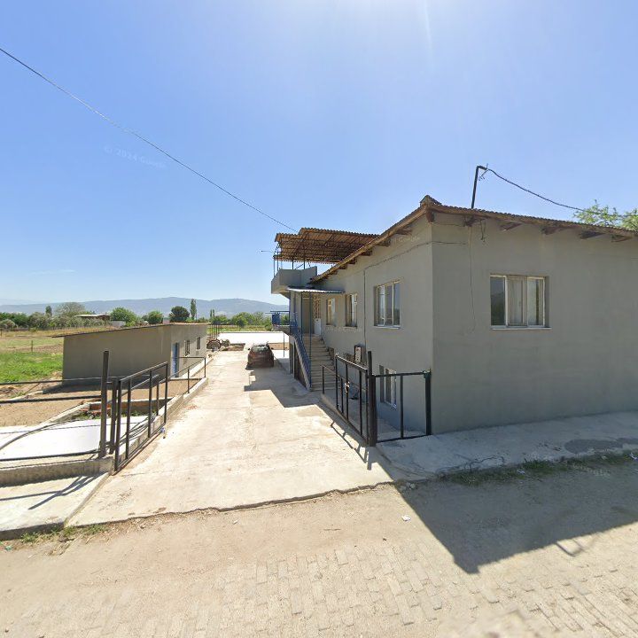 Fotoğraf 4